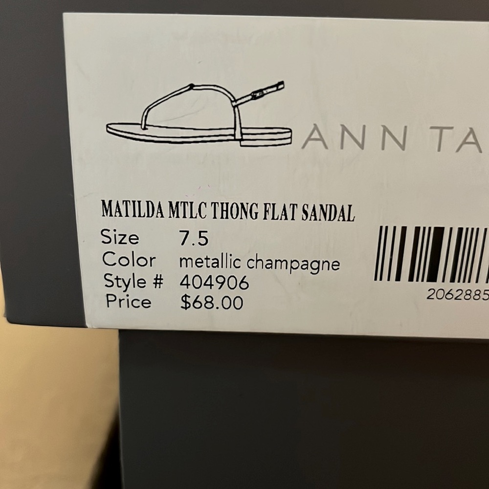 Ann Taylor metallic thong sandal - never been worn and opened